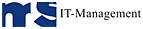 MS IT-Management